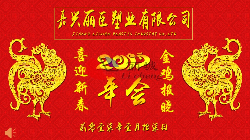 麗臣塑業(yè)2017年年會圓滿成功